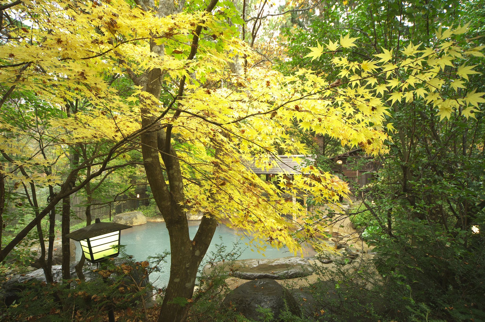 Magokuro Hotel Takayama  Bagian luar foto